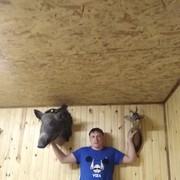 ���������� ������, ���� ������� ����, 36 ���, ������������ ��� ������