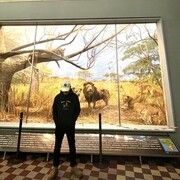 ���������� �����-���������, ���� ������� ���, 27 ���, ������������ ��� ������