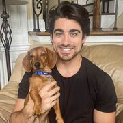 ���������� ������, ���� ������� �����������, 41 ���, ������������ ��� ������, ����� � ���������, c�������� ���������