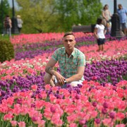 ���������� �����-���������, ���� ������� ���������, 36 ���, ������������ ��� ������, ����� � ���������, c�������� ���������