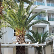 ���������� �����, ���� ������� ��������, 63 ����, ������������ ��� ������, ����� � ���������, c�������� ���������