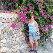 ���������� ���������, ���� ������� �������, 66 ���, ������������ ��� ������, ����� � ���������