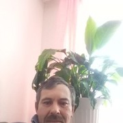  ,   , 51 ,   ,   , c 