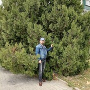  ,   , 52 ,   ,   