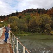  ,  zampolit, 53