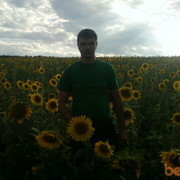 ���������� �����-���������, ���� ������� ����, 38 ���, ������������ ��� ������, ����� � ���������, c�������� ���������