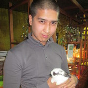 ���������� ������, ���� ������� �������, 34 ����, ������������ ��� ������