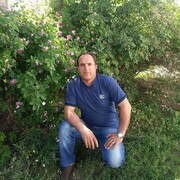  ,   Yavuz yavuz, 42 ,   ,   , c , 