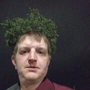 --,   Maxim, 42 ,   ,   , c , 