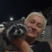 ���������� ������, ���� ������� �����, 55 ���, ������������ ��� c�������� ���������, ���������