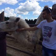 ���������� ����, ���� ������� ����, 32 ����, ������������ ��� ������, ����� � ���������, c�������� ���������