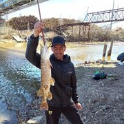 ���������� �����, ���� ������� ������, 45 ���, ������������ ��� ����� � ���������, c�������� ���������