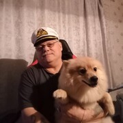  ,   , 61 ,   