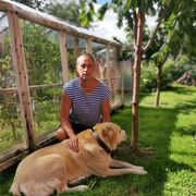 ���������� ������, ���� ������� ���������, 55 ���, ������������ ��� ������, ����� � ���������, c�������� ���������