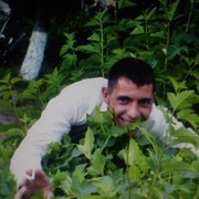 ���������� ��������, ������� ����, 40