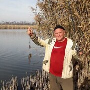 ���������� ���������, ���� ������� ������, 41 ���, ������������ ��� ������, ����� � ���������, c�������� ���������, ���������