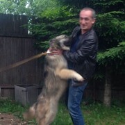 ���������� ������, ���� ������� ����, 59 ���, ������������ ��� ������, ����� � ���������, c�������� ���������, ���������