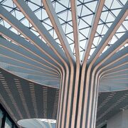 ���������� ������, ���� ������� ����, 35 ���, ������������ ��� ������, ����� � ���������