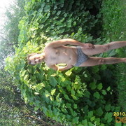  ,   , 54 ,   ,   , c , 