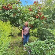  Alacant,   , 66 ,   c 