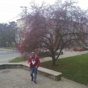 ���������� �������, ���� ������� Giorgi, 30 ���, ������������ ��� ������, ����� � ���������, c�������� ���������