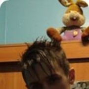  -,   , 41 ,   ,   , c 