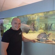 ���������� �����������, ���� ������� Sergo, 39 ���, ������������ ��� ������, ����� � ���������, c�������� ���������, ���������