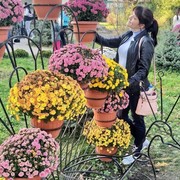 ���������� �������, ���� ������� �������, 32 ����, ������������ ��� ������, ����� � ���������, c�������� ���������