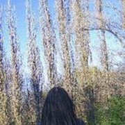  -,   , 36 ,   ,   , c 