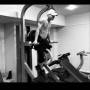 ���������� �����������, ���� ����� ����, 20 ���, ������������ ��� ������, ����� � ���������