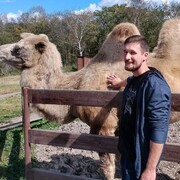  ,   Denis Olegov, 35 ,     , c 