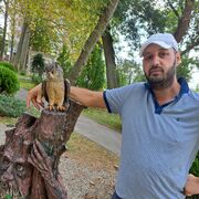 ���������� ������, ������� �������, 37