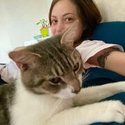  ,   , 37 ,   