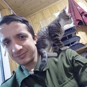  -,   , 29 ,   ,   , c , 