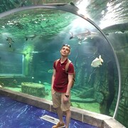 ���������� �����������, ���� ������� ������, 34 ����, ������������ ��� ������, ����� � ���������