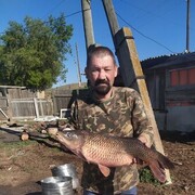  ,   , 53 ,     , c 