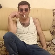  ,  Slon, 41