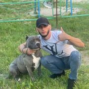 ���������� �����������, ���� ������� �����, 37 ���, ������������ ��� c�������� ���������