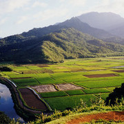 ���������� �����, ���� ������� Drakonikdima, 35 ���, ������������ ��� ������, ����� � ���������, c�������� ���������, ���������