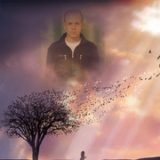  ,   2012, 42 ,   