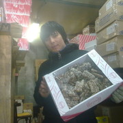 ���������� ������, ���� ������� Ziyovuddin, 34 ����, ������������ ��� ������, ����� � ���������, c�������� ���������