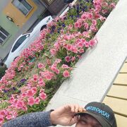  -,   ˸, 36 ,   ,   , c 