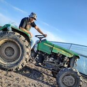 ���������� ������, ���� ������� �����, 31 ���, ������������ ��� ������, ����� � ���������