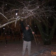  -,   , 39 ,   ,   , c 