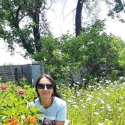  ,   , 42 ,   ,   