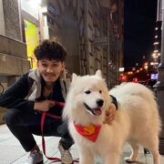 ���������� �����-���������, ���� ������� ����, 26 ���, ������������ ��� ������, ����� � ���������