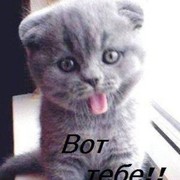 ���������� ��������, ���� ������� ����, 47 ���, ������������ 