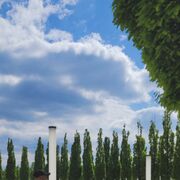 ���������� ������, ���� ������� Valery, 30 ���, ������������ ��� ������, ����� � ���������, c�������� ���������