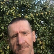  -,   , 50 ,   