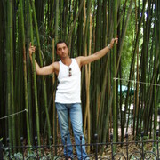  ,   , 54 ,   ,   , c 